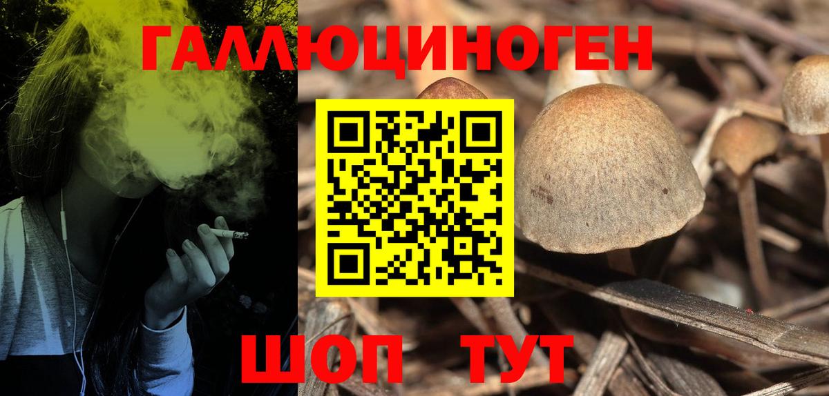 Советск  Галлюциногенные грибы Cubensis  Вход с VPN  Псилоцибиновые грибы Magic Shrooms 